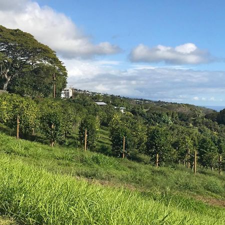 فندق Nohokai At Kona Joe Coffee Farm Kealakekua المظهر الخارجي الصورة