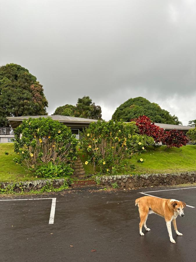 فندق Nohokai At Kona Joe Coffee Farm Kealakekua المظهر الخارجي الصورة